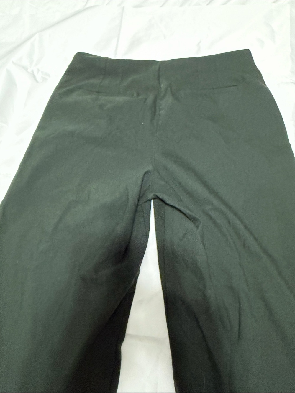 NWOT LOFT Curvy Petite Wide Leg Pants